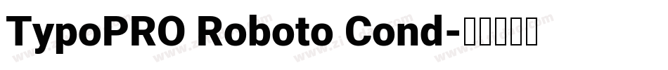 TypoPRO Roboto Cond字体转换